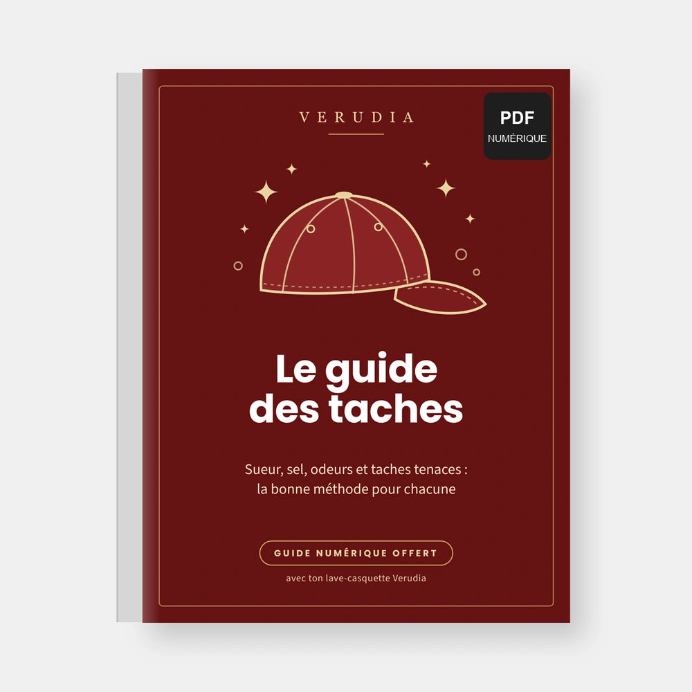Le guide des taches (PDF)