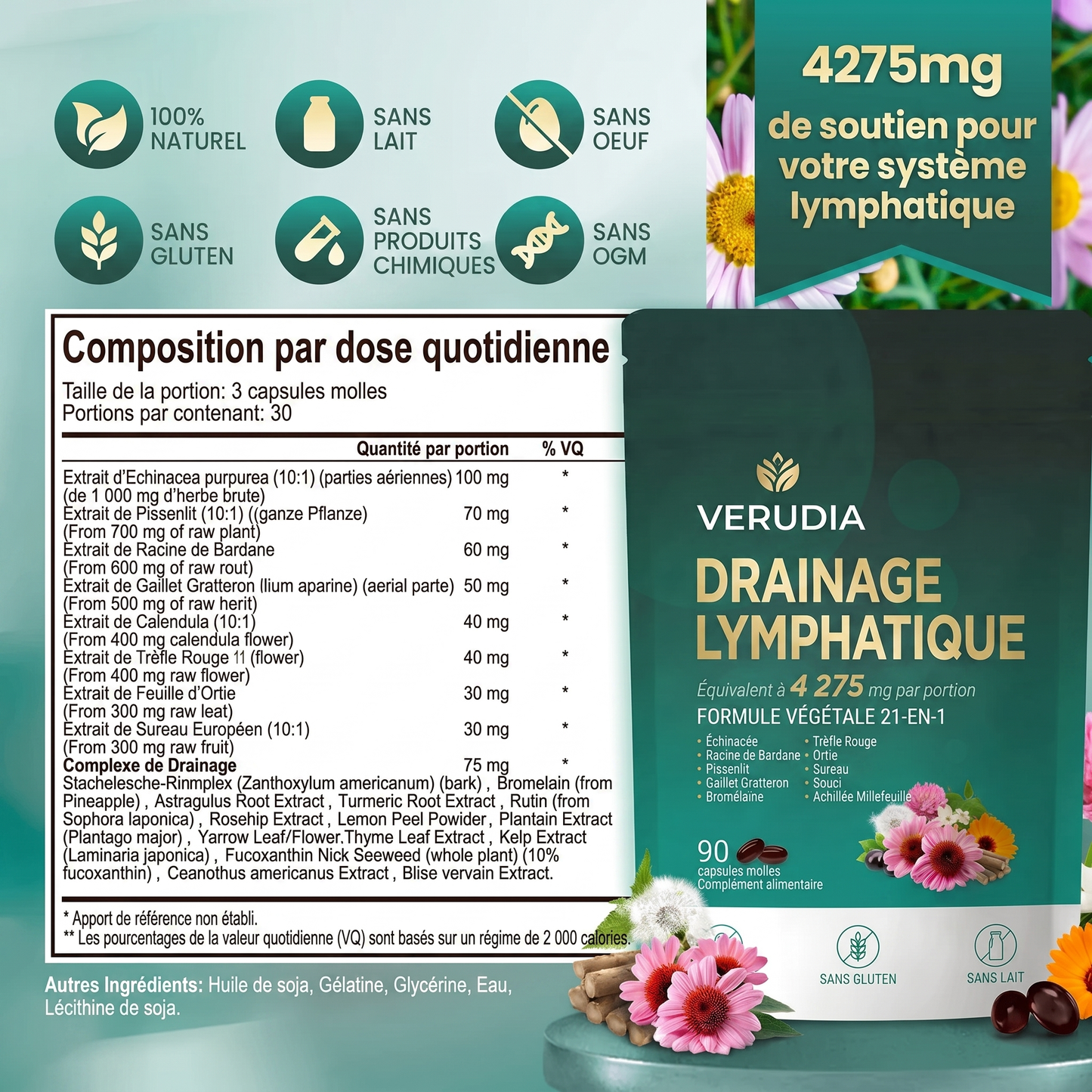 Verudia – Drainage Lymphatique
