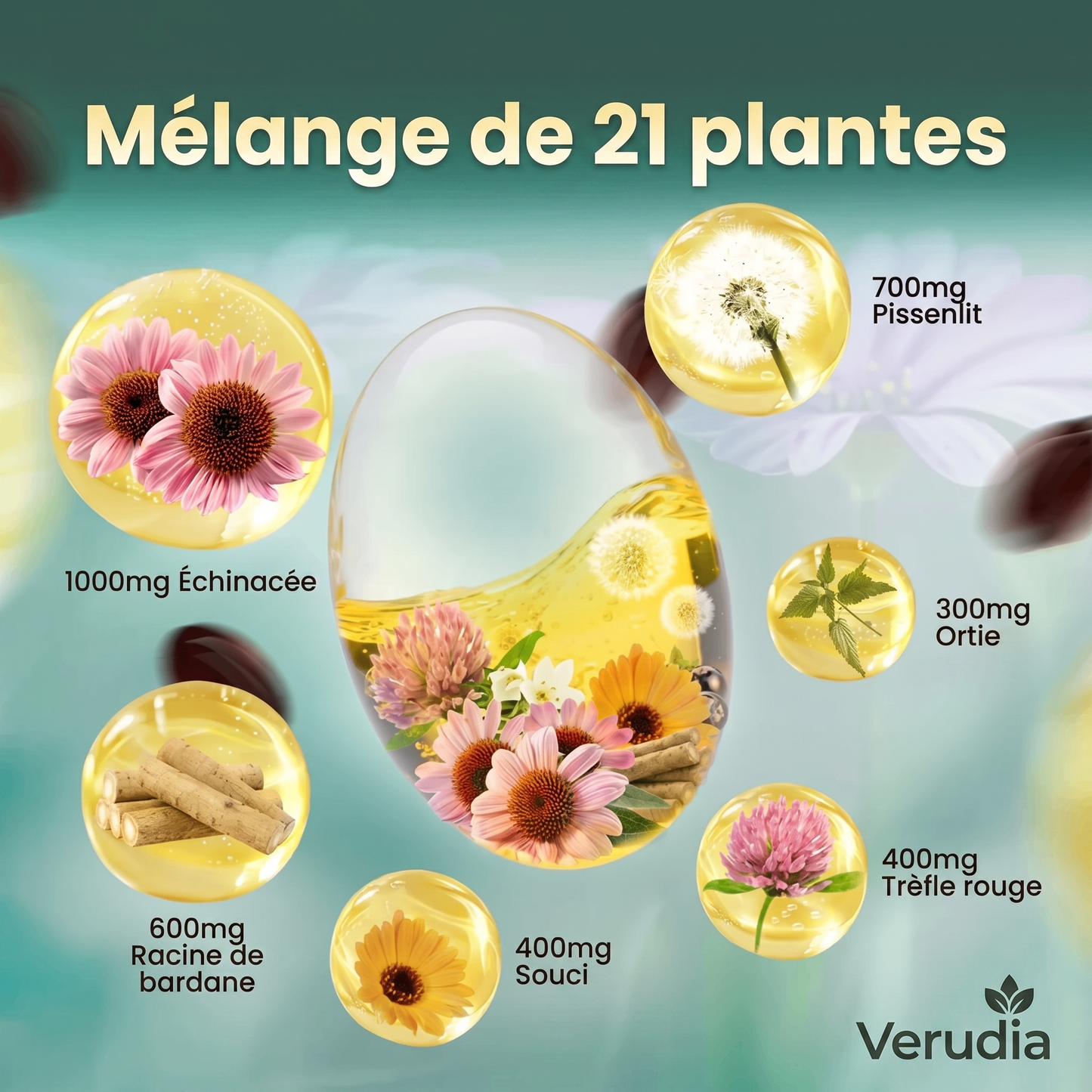 Verudia – Drainage Lymphatique