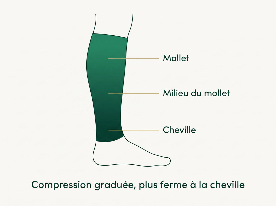 Enfilés en 3 secondes, sans tirer