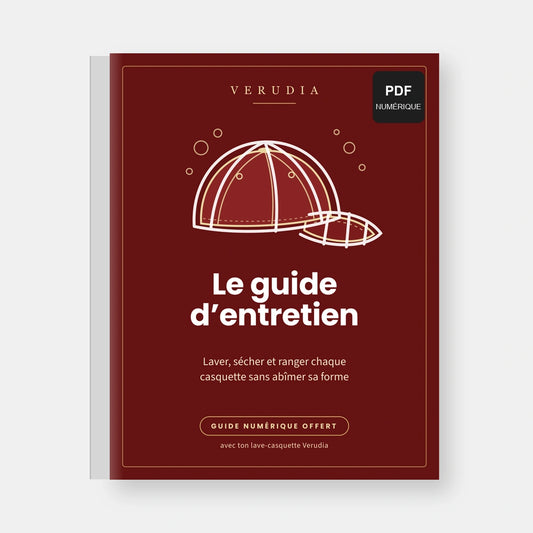 Le guide d'entretien (PDF)