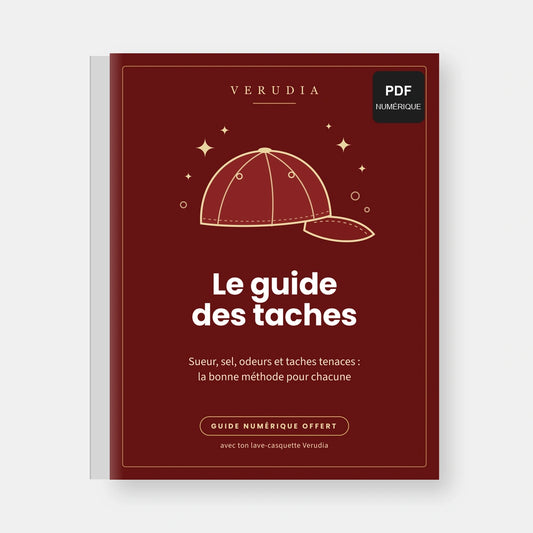 Le guide des taches (PDF)