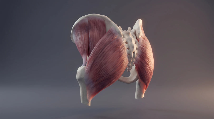 Syndrome du piriforme